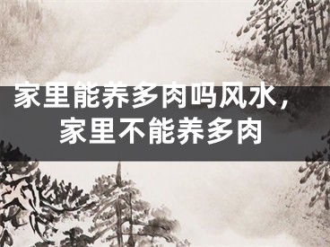 家里能养多肉吗风水，家里不能养多肉