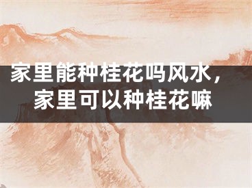 家里能种桂花吗风水，家里可以种桂花嘛