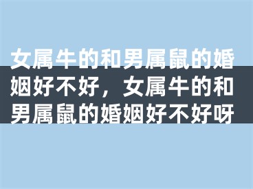 女属牛的和男属鼠的婚姻好不好，女属牛的和男属鼠的婚姻好不好呀
