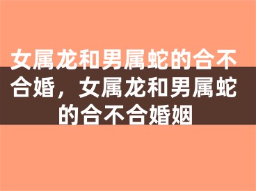 女属龙和男属蛇的合不合婚，女属龙和男属蛇的合不合婚姻