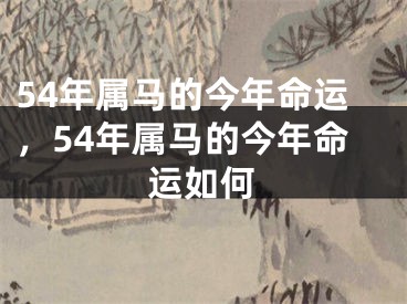 54年属马的今年命运，54年属马的今年命运如何