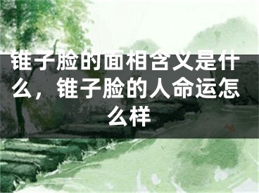锥子脸的面相含义是什么，锥子脸的人命运怎么样
