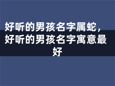 好听的男孩名字属蛇，好听的男孩名字寓意最好