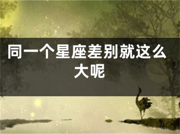 同一个星座差别就这么大呢