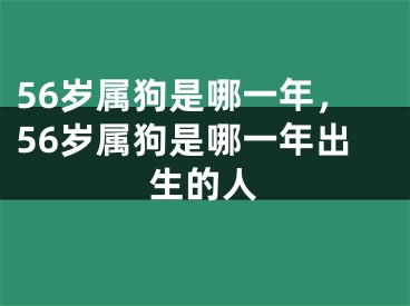 56岁属狗是哪一年，56岁属狗是哪一年出生的人