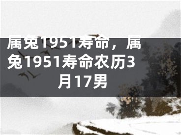 属兔1951寿命，属兔1951寿命农历3月17男