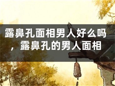露鼻孔面相男人好么吗，露鼻孔的男人面相
