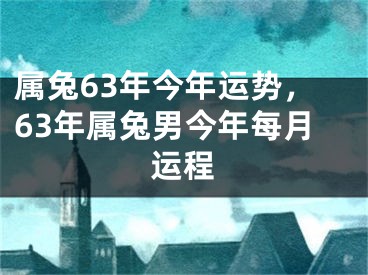 属兔63年今年运势，63年属兔男今年每月运程
