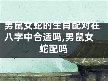 男鼠女蛇的生肖配对在八字中合适吗,男鼠女蛇配吗