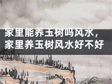 家里能养玉树吗风水，家里养玉树风水好不好