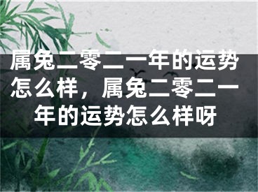 属兔二零二一年的运势怎么样，属兔二零二一年的运势怎么样呀