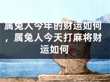 属兔人今年的财运如何，属兔人今天打麻将财运如何