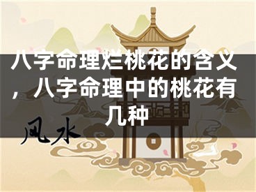 八字命理烂桃花的含义，八字命理中的桃花有几种