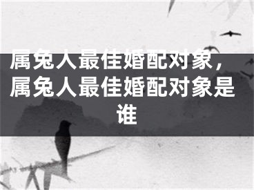 属兔人最佳婚配对象，属兔人最佳婚配对象是谁