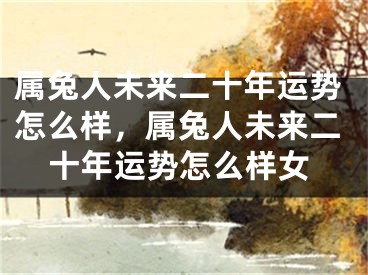 属兔人未来二十年运势怎么样，属兔人未来二十年运势怎么样女