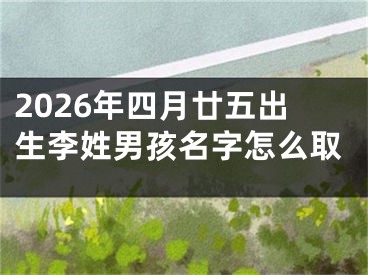 2026年四月廿五出生李姓男孩名字怎么取