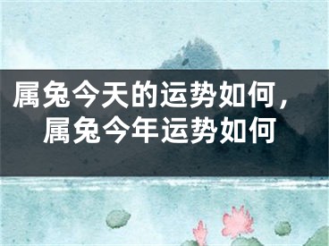 属兔今天的运势如何，属兔今年运势如何