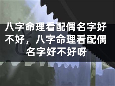 八字命理看配偶名字好不好，八字命理看配偶名字好不好呀