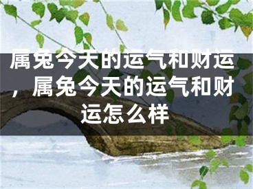 属兔今天的运气和财运，属兔今天的运气和财运怎么样