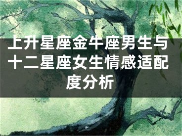 上升星座金牛座男生与十二星座女生情感适配度分析