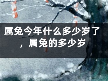 属兔今年什么多少岁了，属兔的多少岁