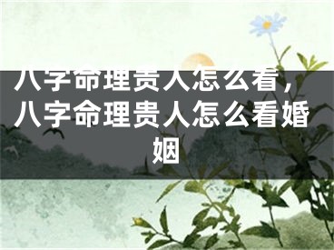 八字命理贵人怎么看，八字命理贵人怎么看婚姻