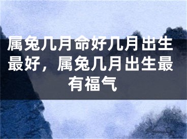 属兔几月命好几月出生最好，属兔几月出生最有福气