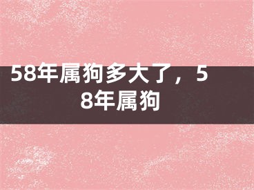58年属狗多大了，58年属狗