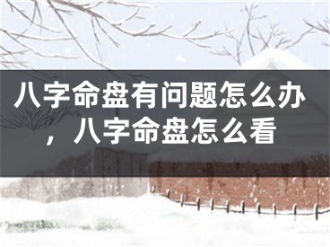 八字命盘有问题怎么办，八字命盘怎么看