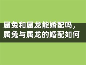 属兔和属龙能婚配吗，属兔与属龙的婚配如何