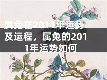 属兔在2011年运势及运程，属兔的2011年运势如何