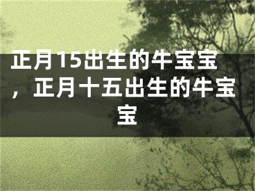 正月15出生的牛宝宝，正月十五出生的牛宝宝