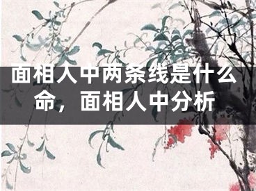 面相人中两条线是什么命，面相人中分析