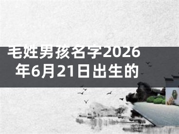 毛姓男孩名字2026年6月21日出生的