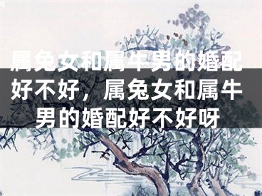 属兔女和属牛男的婚配好不好，属兔女和属牛男的婚配好不好呀