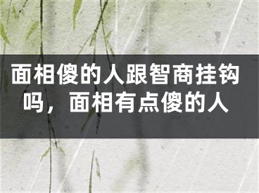 面相傻的人跟智商挂钩吗,面相有点傻的人