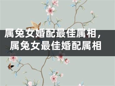 属兔女婚配最佳属相，属兔女最佳婚配属相