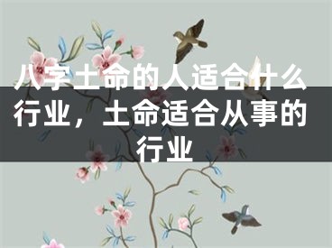 八字土命的人适合什么行业，土命适合从事的行业