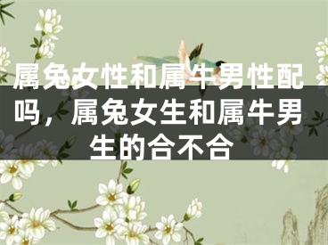 属兔女性和属牛男性配吗，属兔女生和属牛男生的合不合