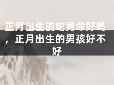 正月出生的蛇男命好吗，正月出生的男孩好不好