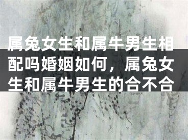 属兔女生和属牛男生相配吗婚姻如何，属兔女生和属牛男生的合不合