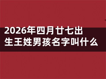 2026年四月廿七出生王姓男孩名字叫什么