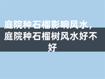 庭院种石榴影响风水，庭院种石榴树风水好不好