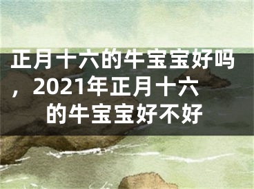 正月十六的牛宝宝好吗，2021年正月十六的牛宝宝好不好