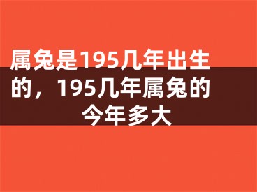 属兔是195几年出生的，195几年属兔的今年多大