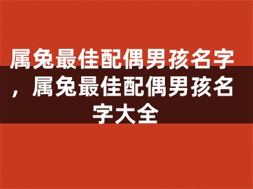属兔最佳配偶男孩名字,属兔最佳配偶男孩名字大全