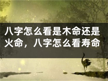 八字怎么看是木命还是火命，八字怎么看寿命