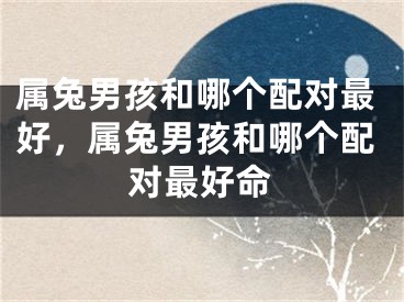 属兔男孩和哪个配对最好，属兔男孩和哪个配对最好命