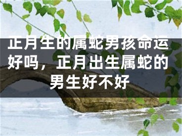 正月生的属蛇男孩命运好吗，正月出生属蛇的男生好不好
