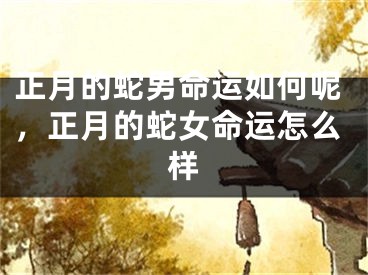 正月的蛇男命运如何呢，正月的蛇女命运怎么样